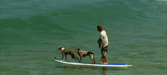 Acid GIFs, October 6 (25 gifs) Acid GIFs, October 6 (25 gifs)