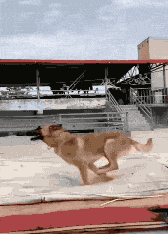 Acid GIFs, October 6 (25 gifs) Acid GIFs, October 6 (25 gifs)