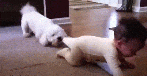 Acid GIFs, October 6 (25 gifs) Acid GIFs, October 6 (25 gifs)