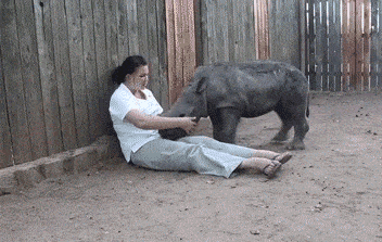 Acid GIFs, October 6 (25 gifs) Acid GIFs, October 6 (25 gifs)