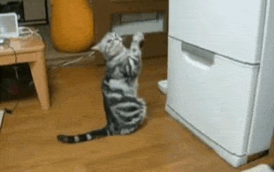 Acid GIFs, October 6 (25 gifs) Acid GIFs, October 6 (25 gifs)