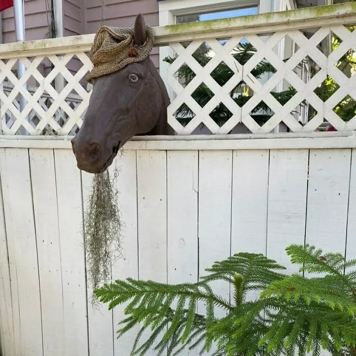 Strange Finds In The Gardens (25 pics)