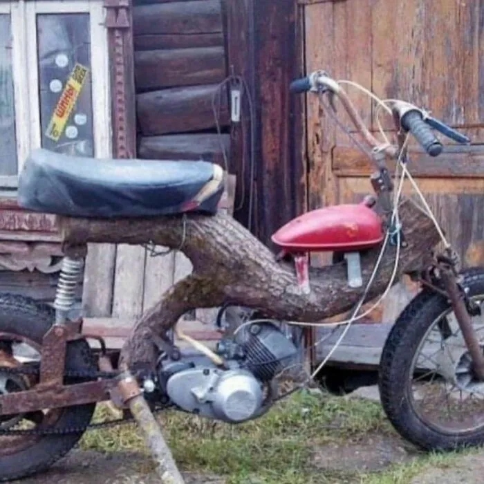 Strange Finds In The Gardens (25 pics)