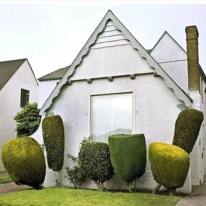 Strange Finds In The Gardens (25 pics)
