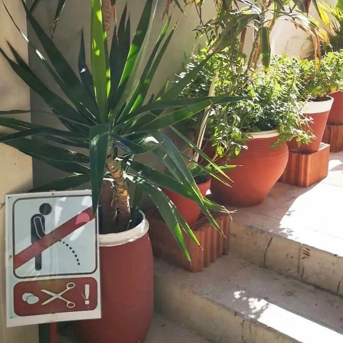 Strange Finds In The Gardens (25 pics)