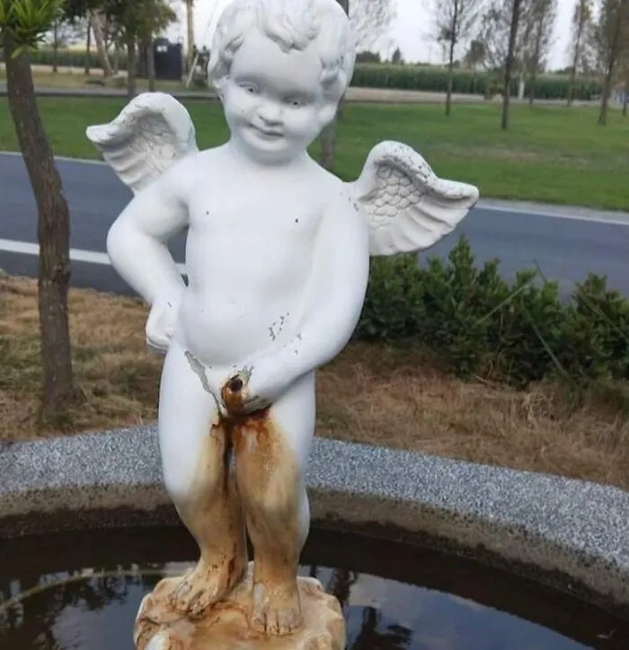 Strange Finds In The Gardens (25 pics)