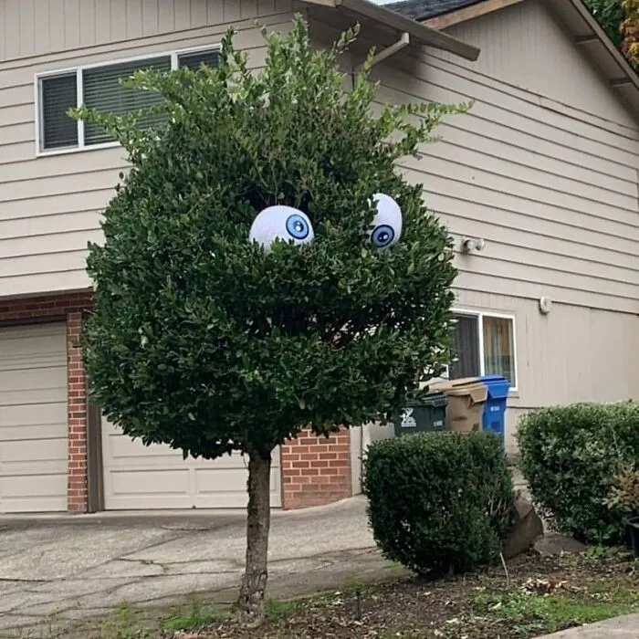 Strange Finds In The Gardens (25 pics)