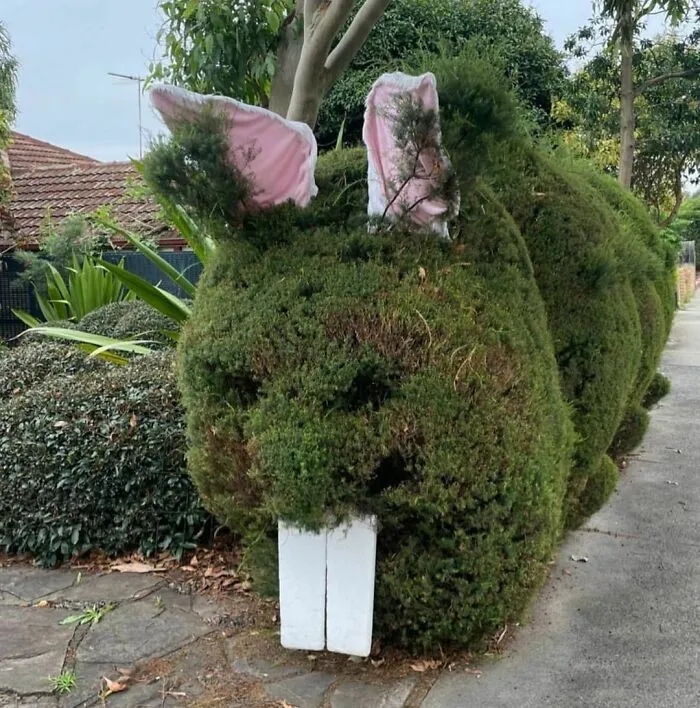 Strange Finds In The Gardens (25 pics)