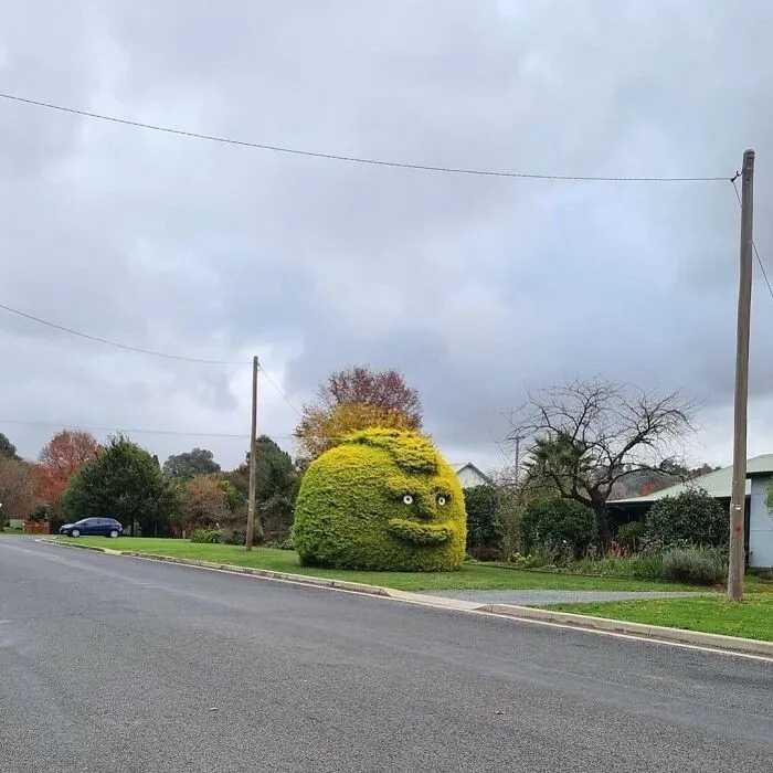 Strange Finds In The Gardens (25 pics)