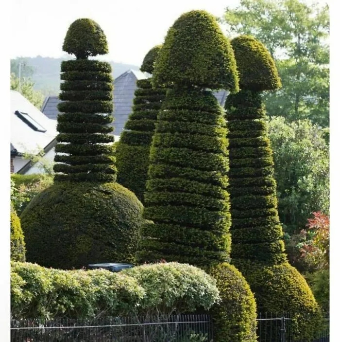 Strange Finds In The Gardens (25 pics)