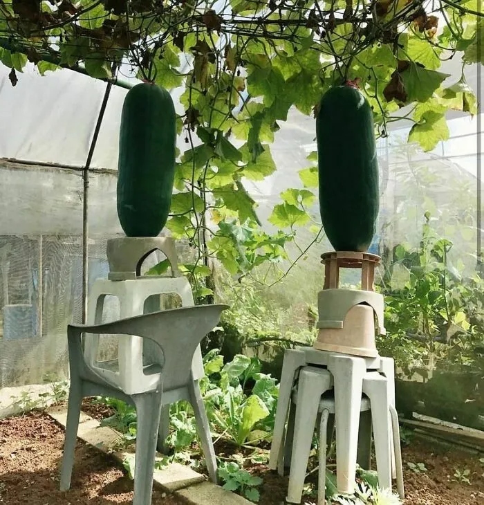 Strange Finds In The Gardens (25 pics)