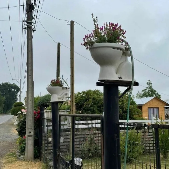 Strange Finds In The Gardens (25 pics)