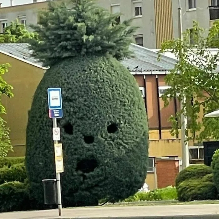 Strange Finds In The Gardens (25 pics)