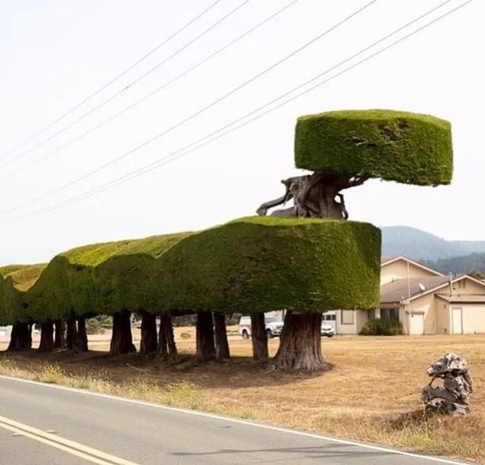 Strange Finds In The Gardens (25 pics)