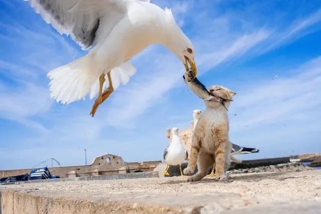 Right Moment (15 pics)