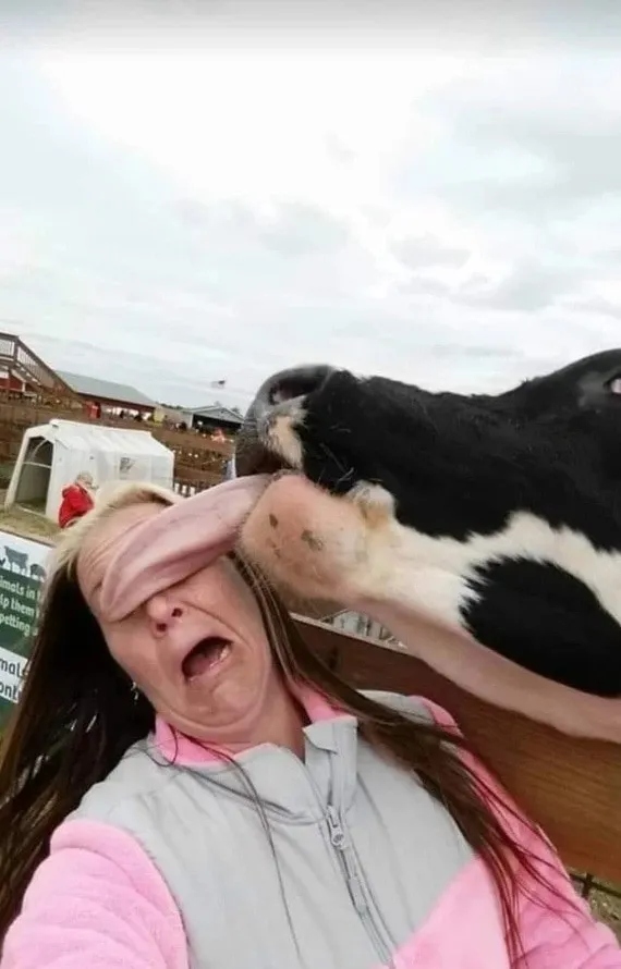Right Moment (15 pics)