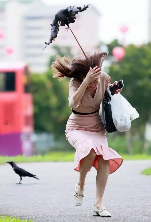 Right Moment (15 pics)
