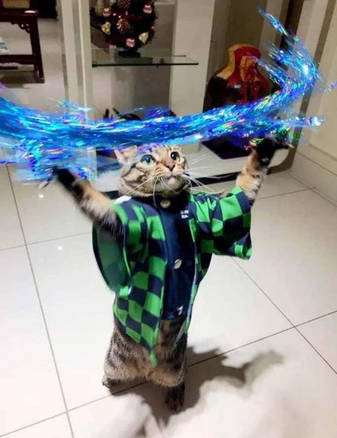 Right Moment (15 pics)