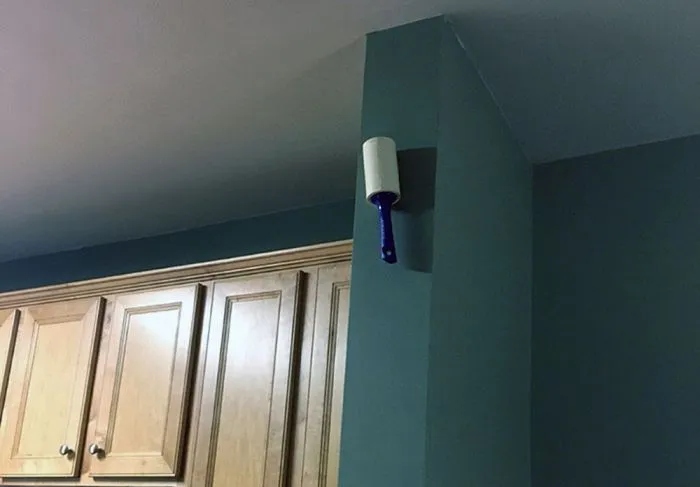 Annoying Finds And Situations (29 pics)