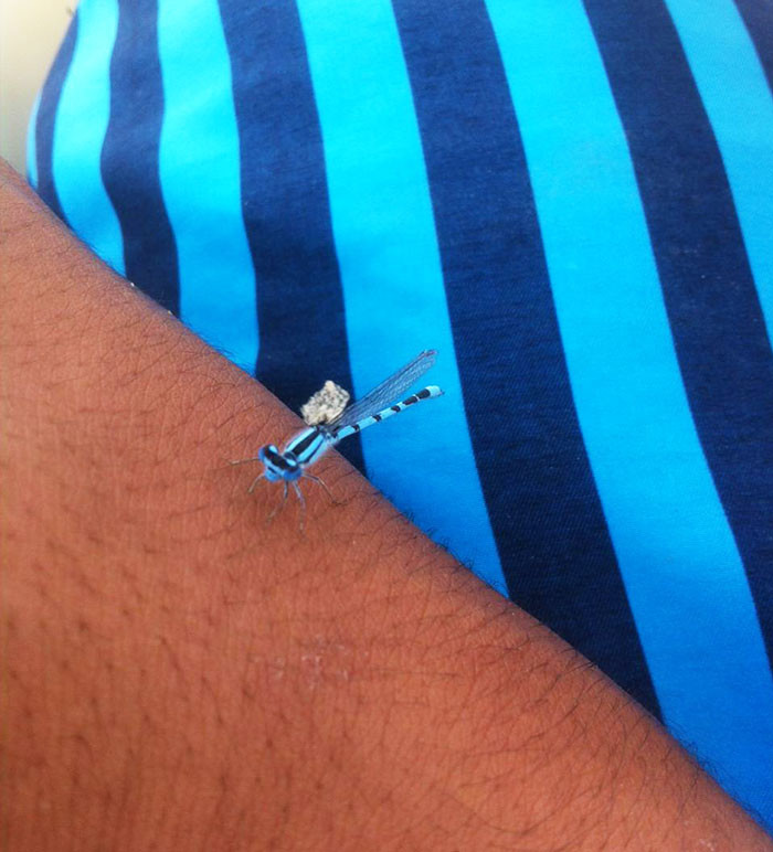 Unexpected Coincidences (25 pics)