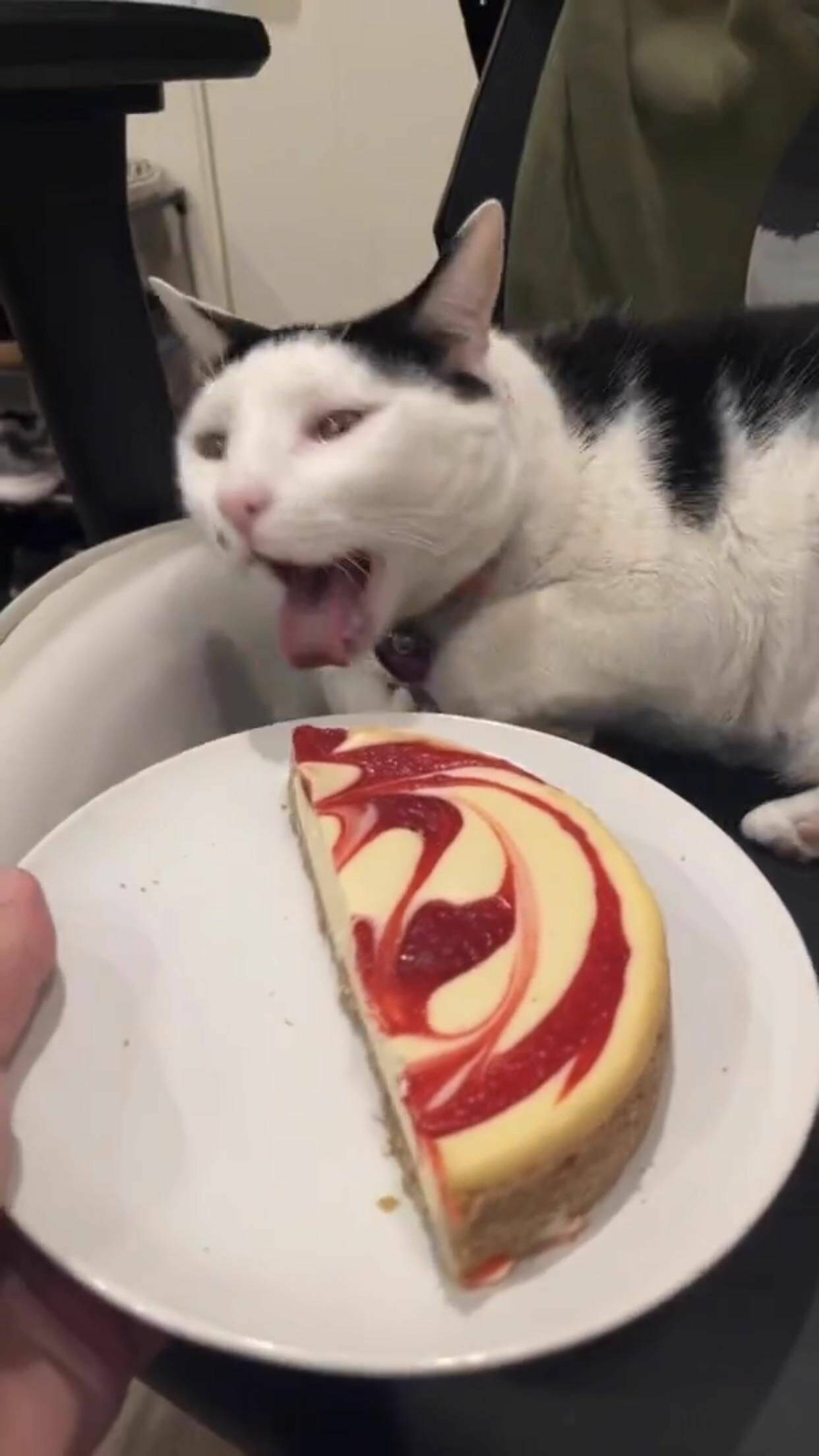 Daily Pictures. Part 2 (64 pics) Daily Pictures. Part 2 (64 pics)