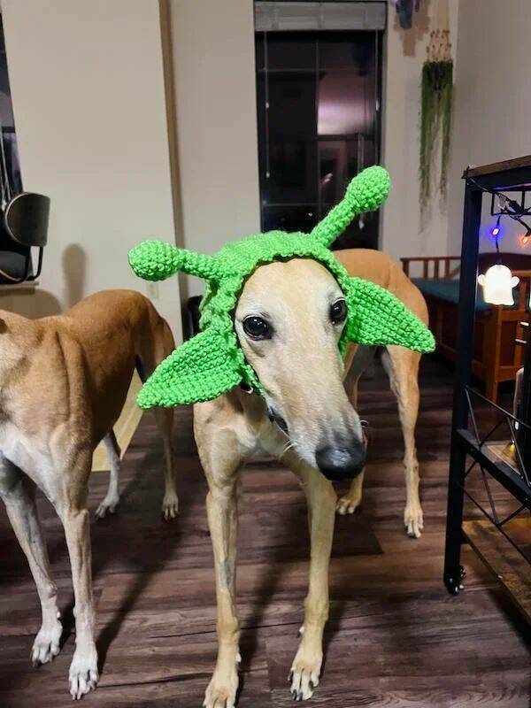 Daily Pictures. Part 2 (64 pics) Daily Pictures. Part 2 (64 pics)