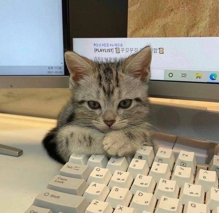 Daily Pictures. Part 2 (64 pics) Daily Pictures. Part 2 (64 pics)