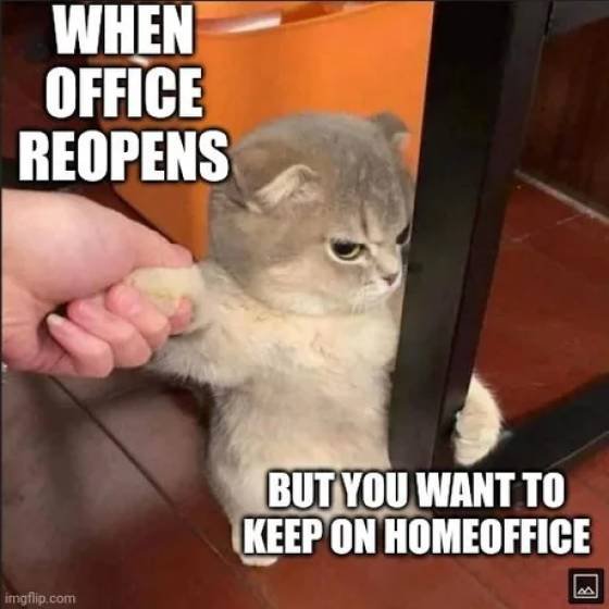 Daily Pictures. Part 2 (64 pics) Daily Pictures. Part 2 (64 pics)