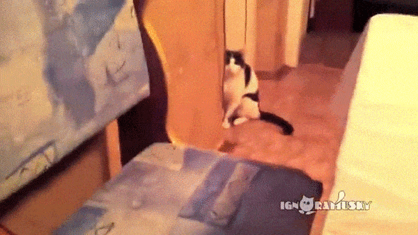 Acid GIFs, October 7 (25 gifs) Acid GIFs, October 7 (25 gifs)