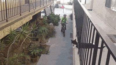 Acid GIFs, October 7 (25 gifs) Acid GIFs, October 7 (25 gifs)