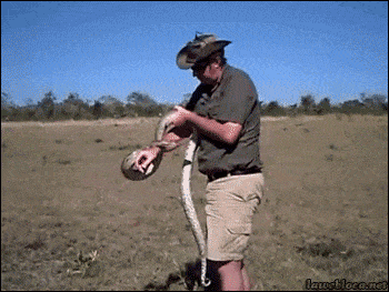 Acid GIFs, October 7 (25 gifs) Acid GIFs, October 7 (25 gifs)