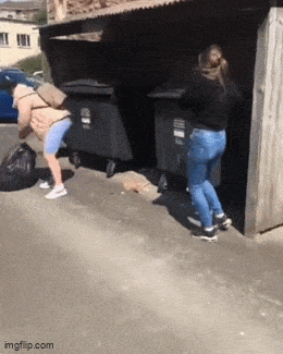 Acid GIFs, October 7 (25 gifs) Acid GIFs, October 7 (25 gifs)