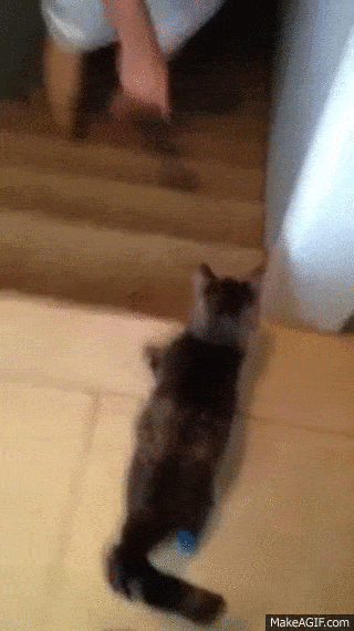 Acid GIFs, October 7 (25 gifs) Acid GIFs, October 7 (25 gifs)