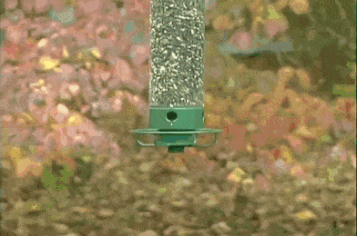 Acid GIFs, October 7 (25 gifs) Acid GIFs, October 7 (25 gifs)