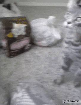 Acid GIFs, October 7 (25 gifs) Acid GIFs, October 7 (25 gifs)