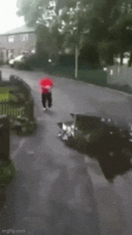 Acid GIFs, October 7 (25 gifs) Acid GIFs, October 7 (25 gifs)