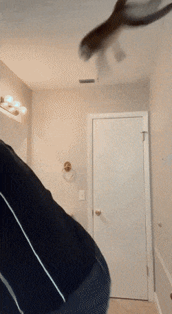 Acid GIFs, October 7 (25 gifs) Acid GIFs, October 7 (25 gifs)