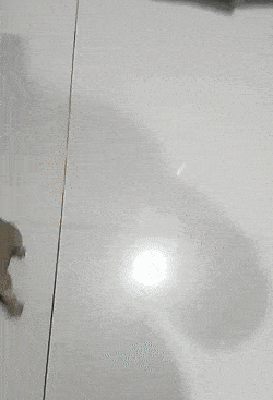Acid GIFs, October 7 (25 gifs) Acid GIFs, October 7 (25 gifs)