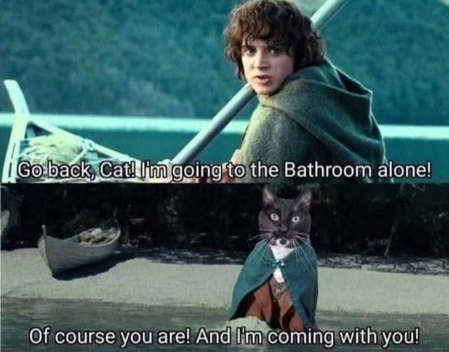 Truthful Memes (36 pics)