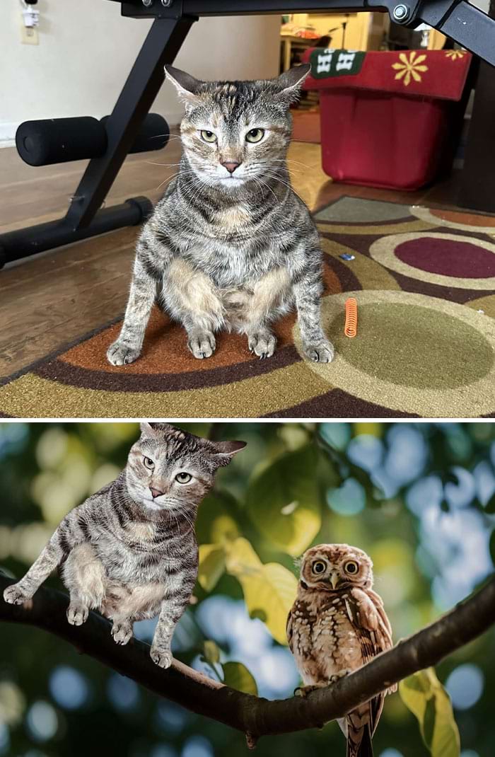 Funny Photoshop (16 pics)