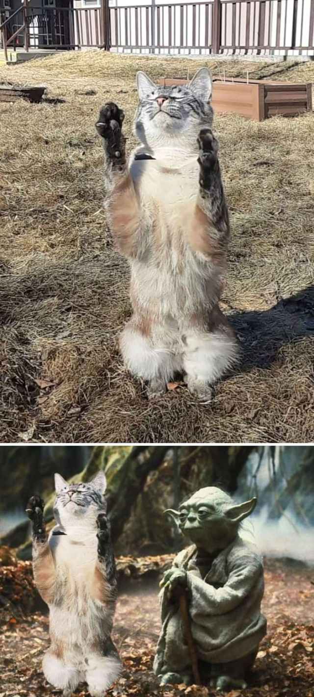 Funny Photoshop (16 pics)