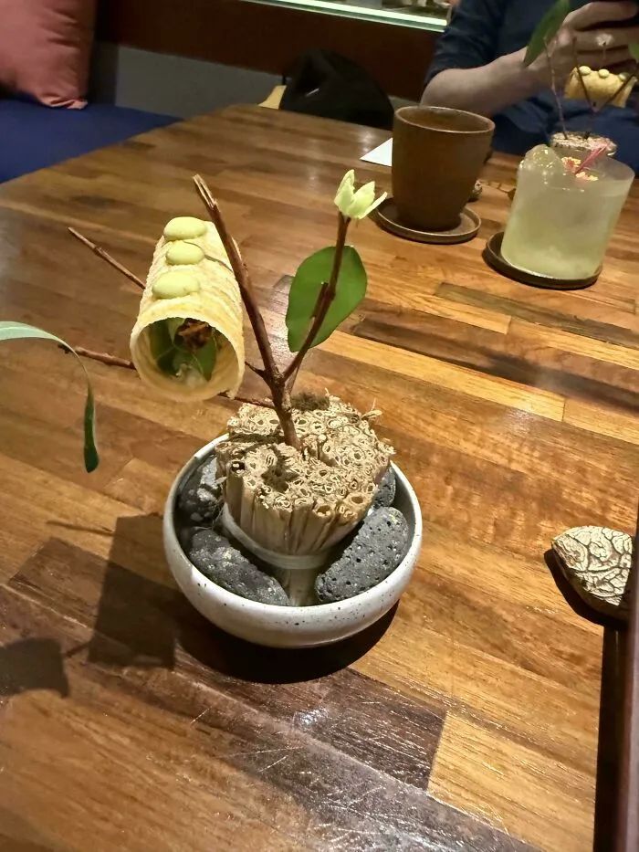 Weird Food Serving (22 pics)