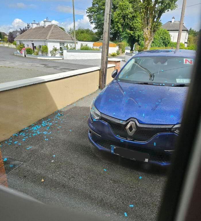 Annoying Finds And Situations (24 pics)
