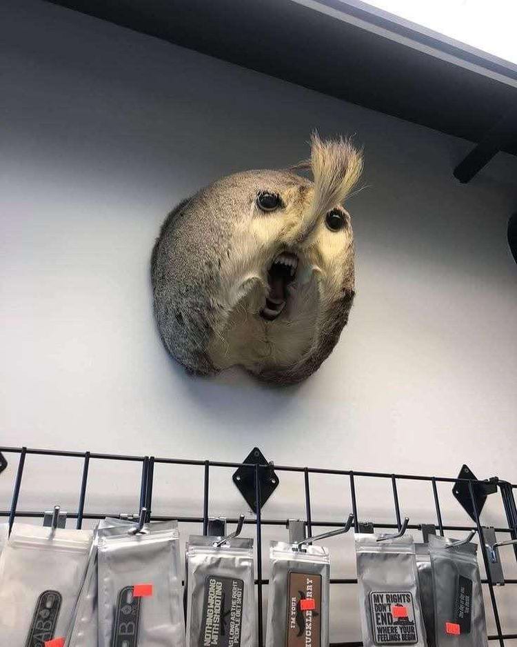 Unusual Finds (17 pics)