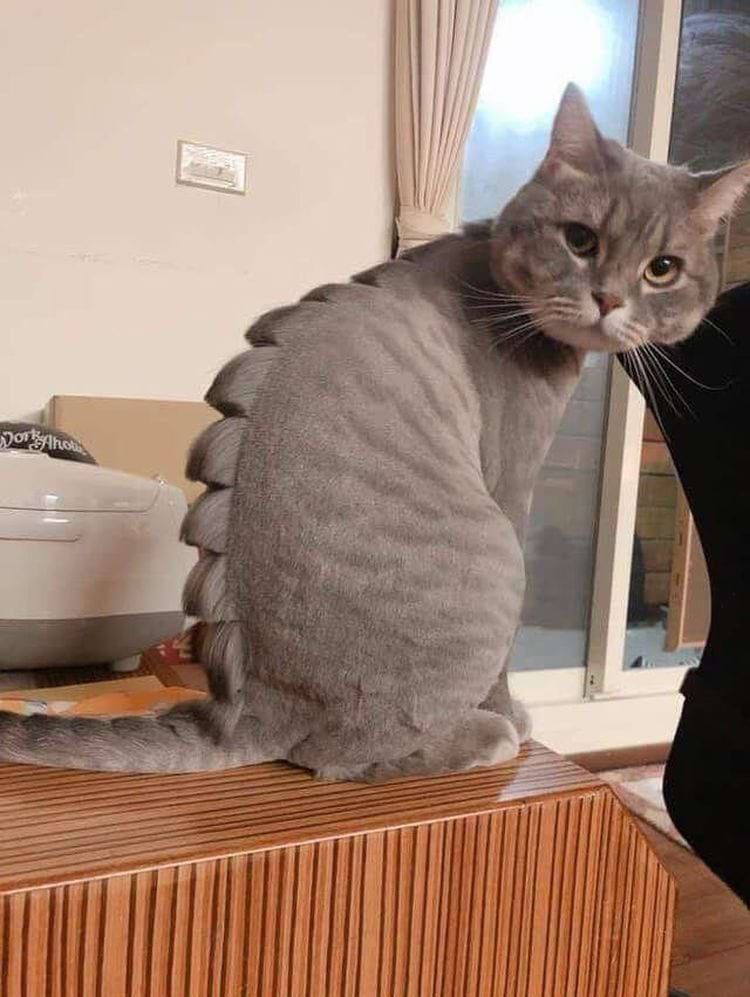 Unusual Finds (17 pics)