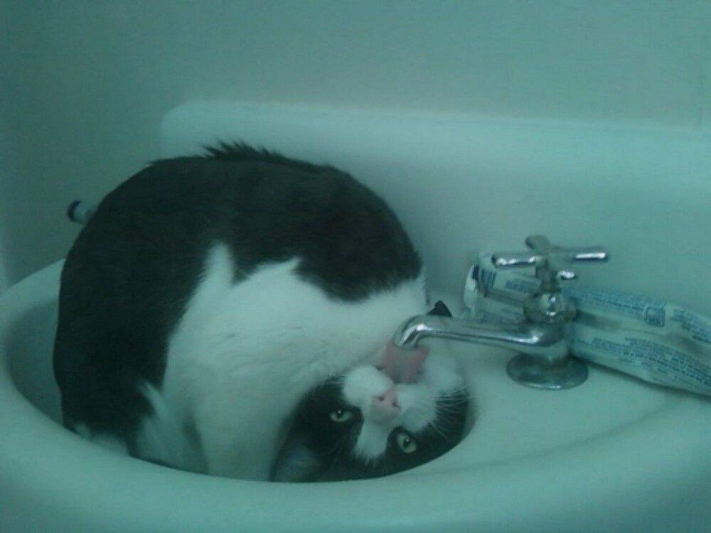 Daily Pictures. Part 1 (63 pics)