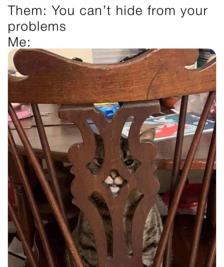 Daily Pictures. Part 2 (62 pics)