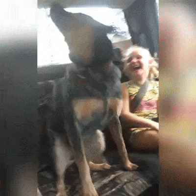 Acid GIFs, October 8 (25 gifs) Acid GIFs, October 8 (25 gifs)