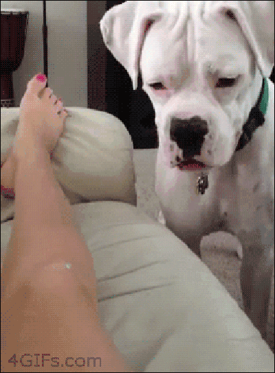 Acid GIFs, October 8 (25 gifs) Acid GIFs, October 8 (25 gifs)