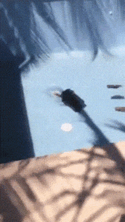 Acid GIFs, October 8 (25 gifs) Acid GIFs, October 8 (25 gifs)